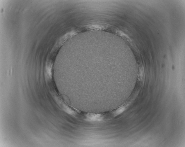 X0000085220334200704091938