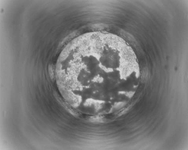 X0000085220335200704091938