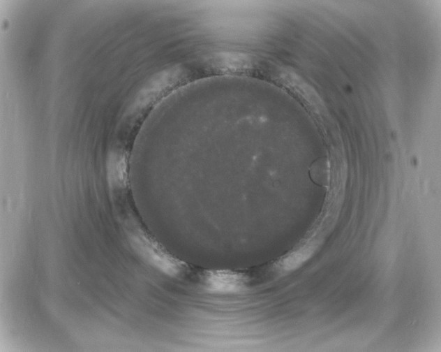 X0000085220336200704091938