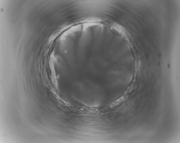 X0000085220337200704091937