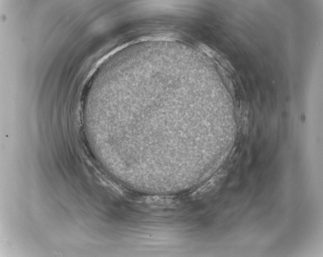 X0000085220338200704091937