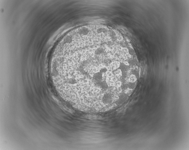 X0000085220339200704091937