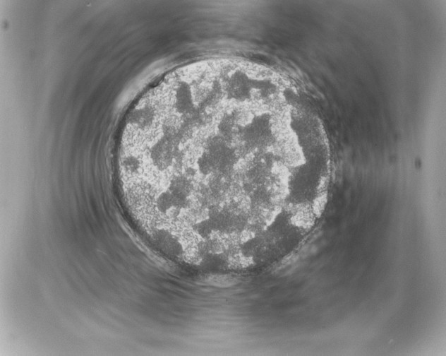 X0000085220341200704091937