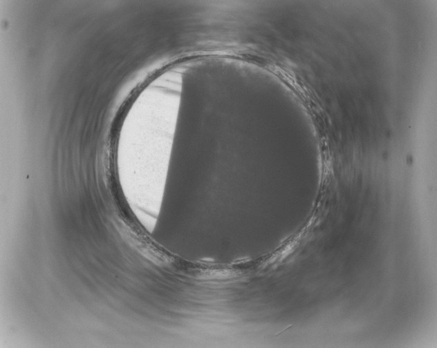 X0000085220342200704091937