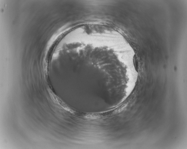 X0000085220343200704091937