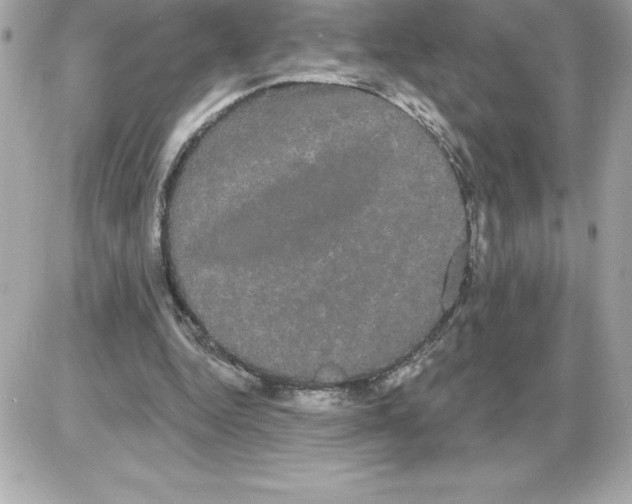 X0000085220344200704091937