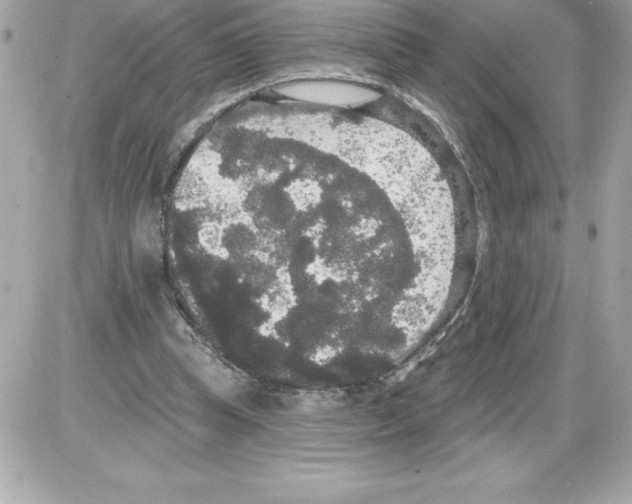 X0000085220345200704091937