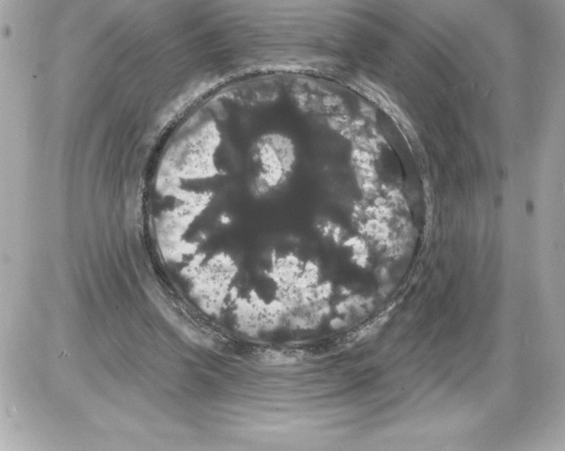 X0000085220346200704091937