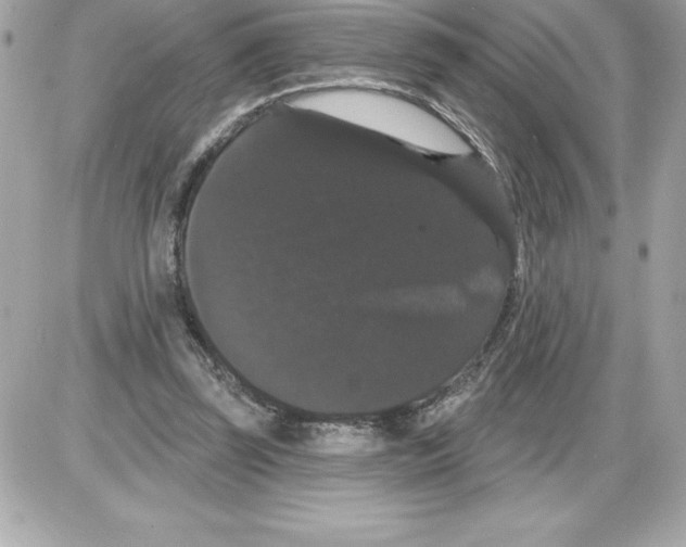 X0000085220347200704091937