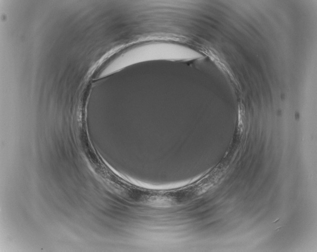 X0000085220348200704091937