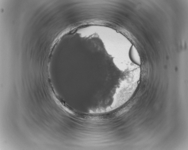 X0000085220349200704091937