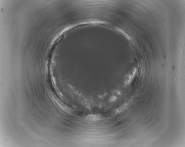 X0000085220350200704091937