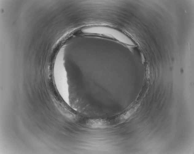 X0000085220351200704091937