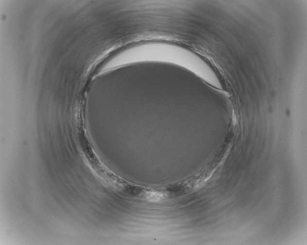 X0000085220352200704091937