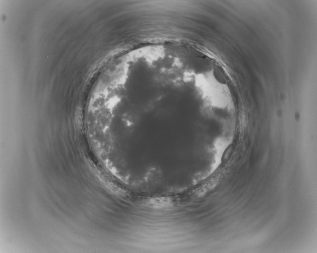 X0000085220353200704091937