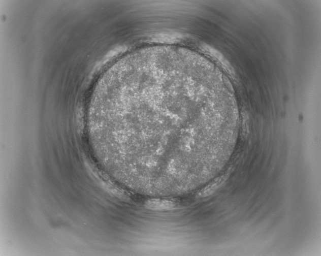 X0000085220354200704091937