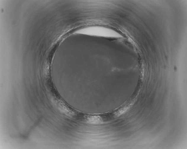 X0000085220355200704091938