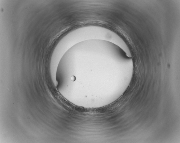 X0000085220356200704091938