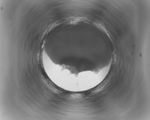 X0000085220357200704091938