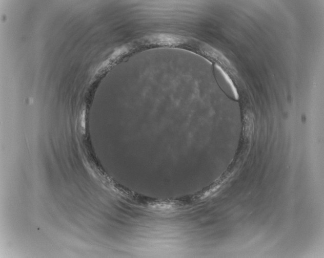 X0000085220358200704091938