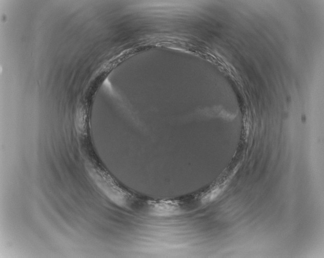 X0000085220359200704091938