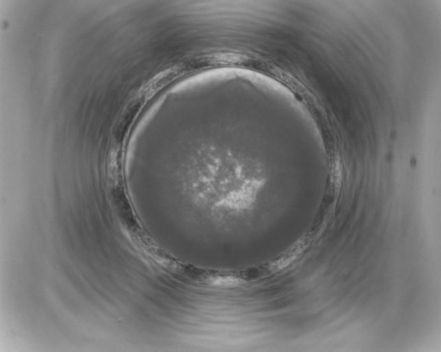 X0000085220360200704091938