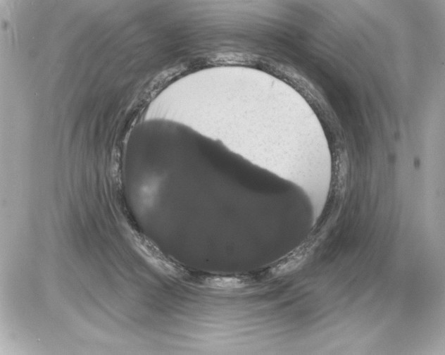 X0000085220361200704091938