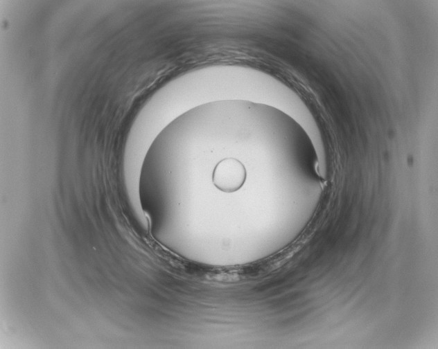 X0000085220362200704091938