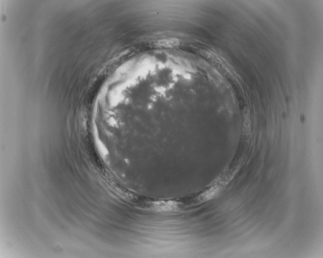 X0000085220363200704091938