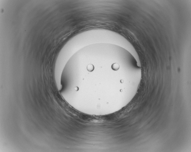 X0000085220364200704091938