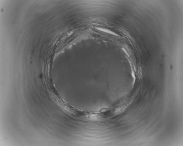 X0000085220365200704091938