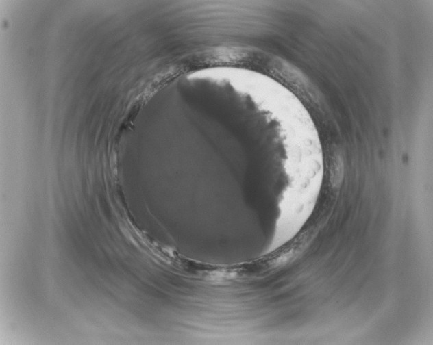 X0000085220366200704091938