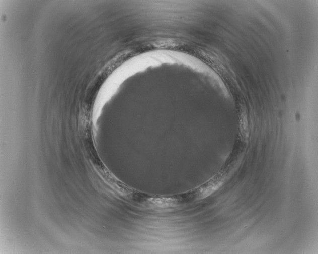 X0000085220367200704091938