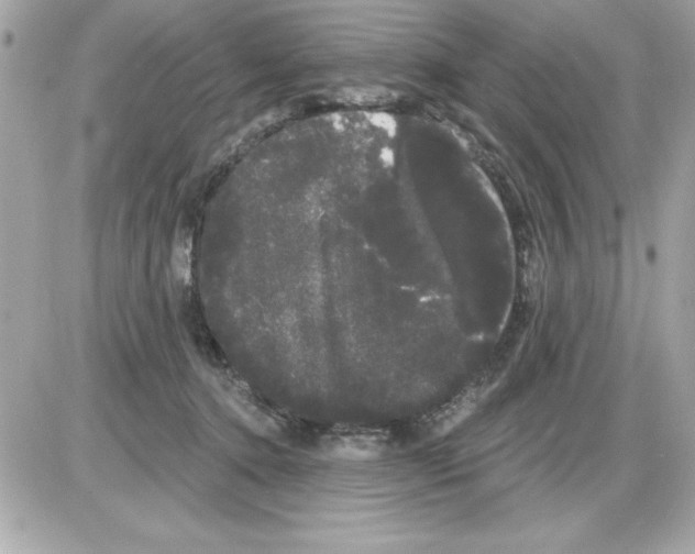 X0000085220368200704091938