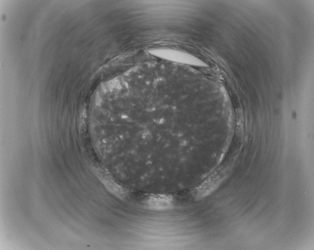 X0000085220369200704091938