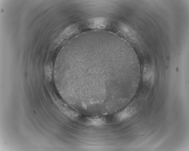 X0000085220370200704091938