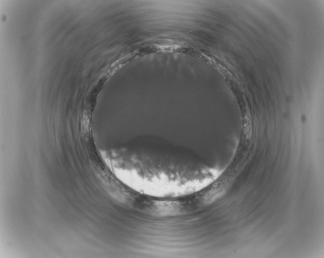 X0000085220371200704091938