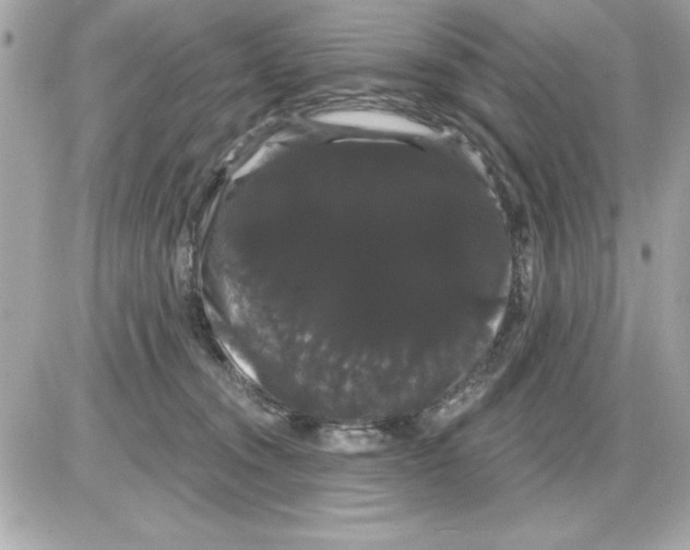 X0000085220372200704091938