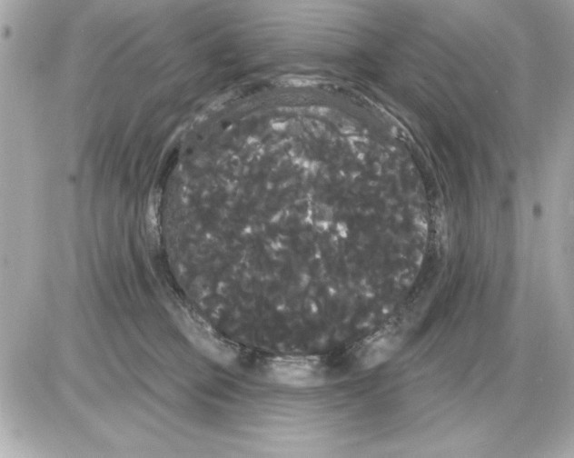 X0000085220373200704091938