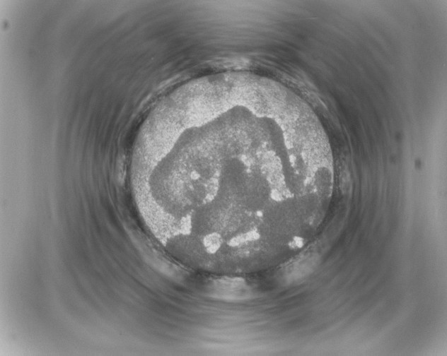 X0000085220374200704091938