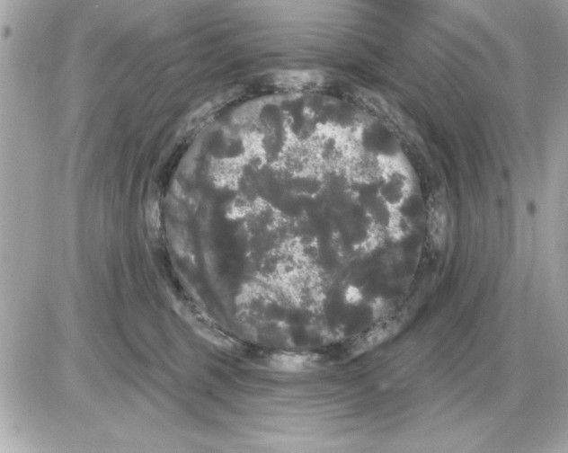 X0000085220375200704091938