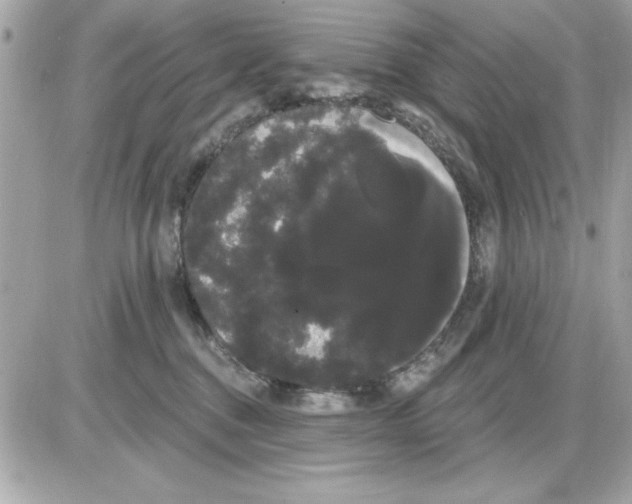 X0000085220376200704091938