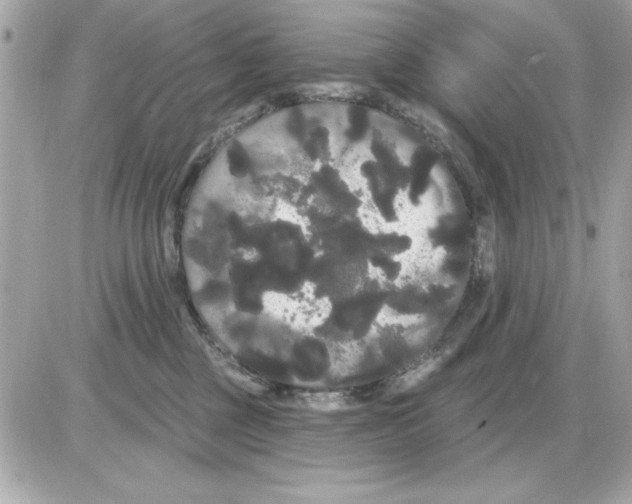 X0000085220377200704091938