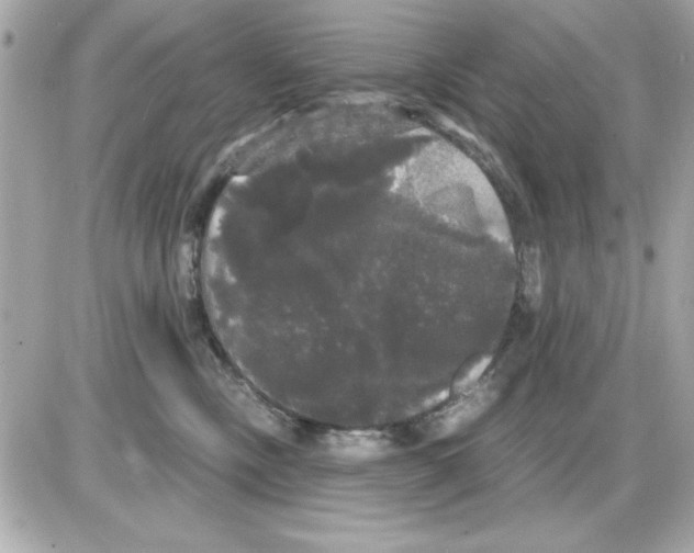 X0000085220378200704091938