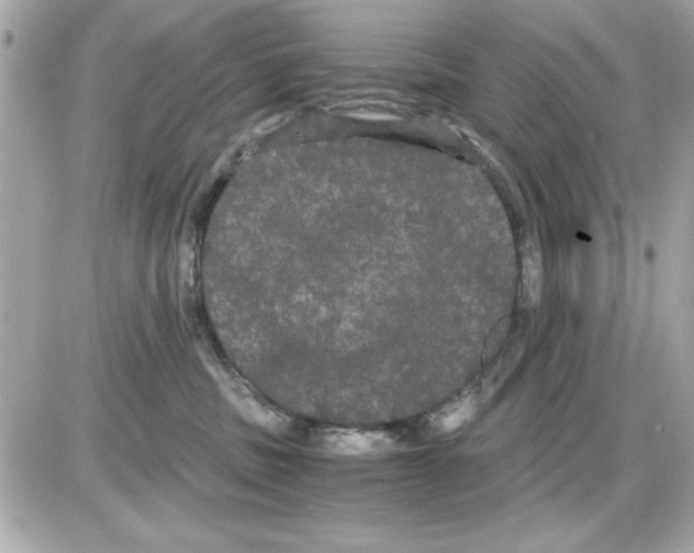 X0000085220379200704091938