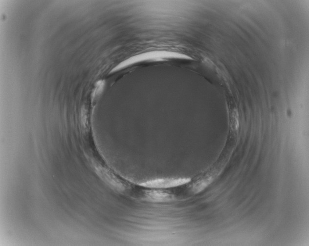 X0000085220380200704091938