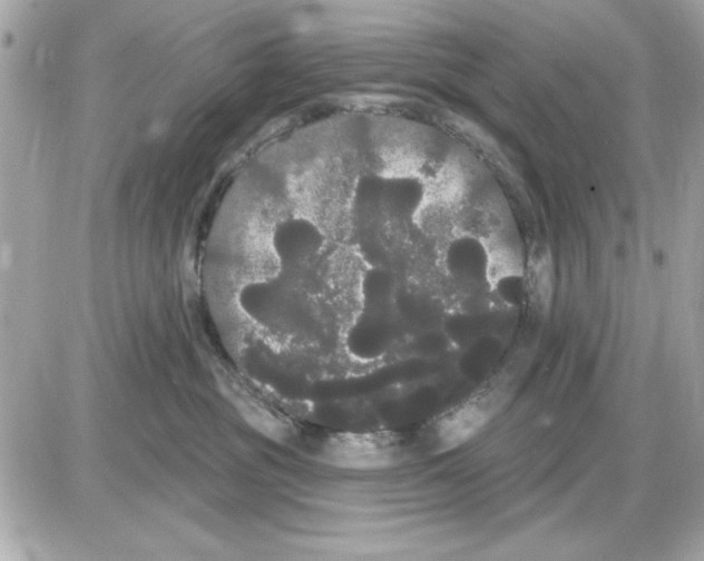 X0000085220381200704091938