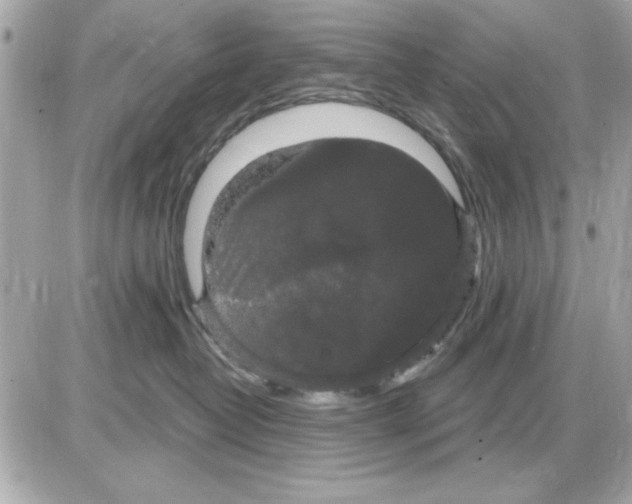 X0000085220382200704091938