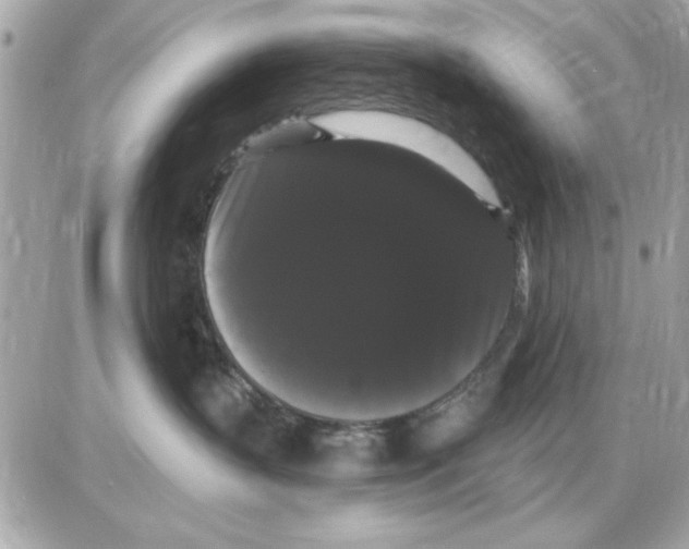 X0000085220383200704091938