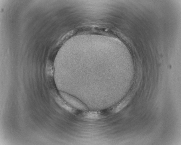 X0000085220384200704091938